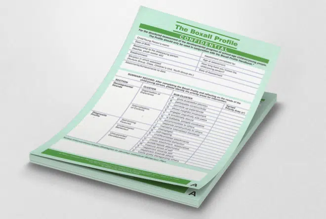 Boxall Profile form green