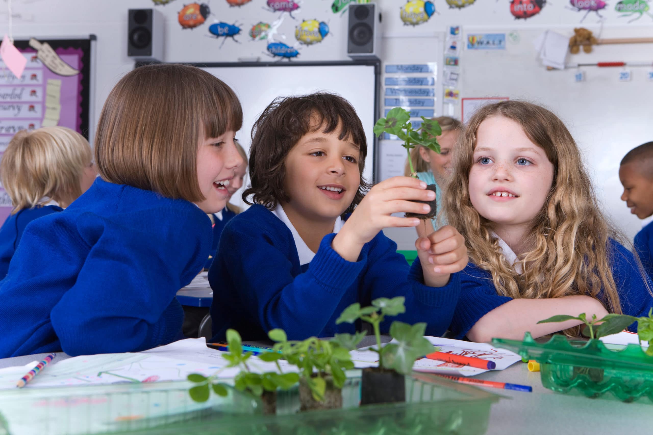 children in school looking at plants