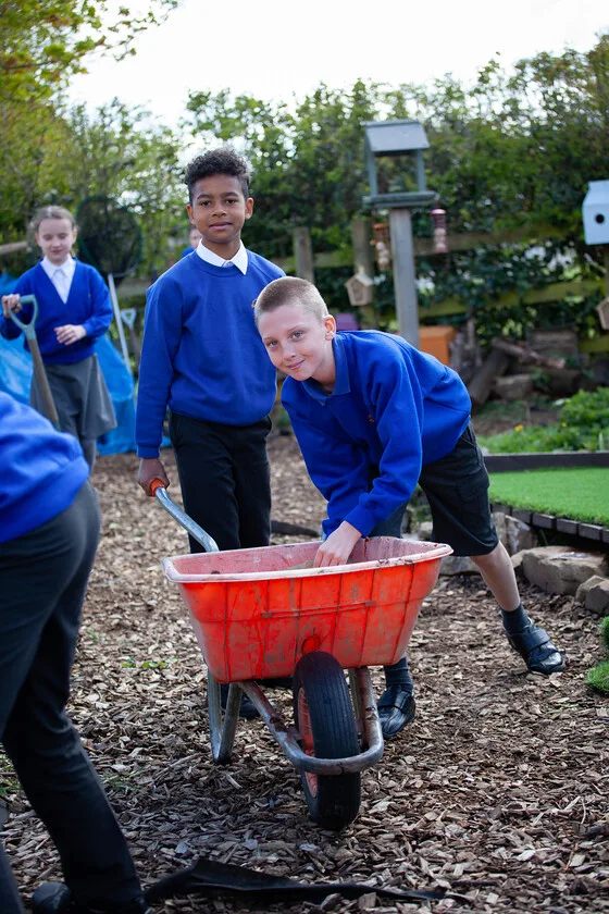 A group of boys pushing a wheelbarrow together through a grassy field under a clear blue sky.