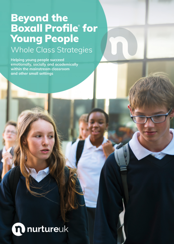 Front cover of the Beyond the Boxall Profile for Young People book