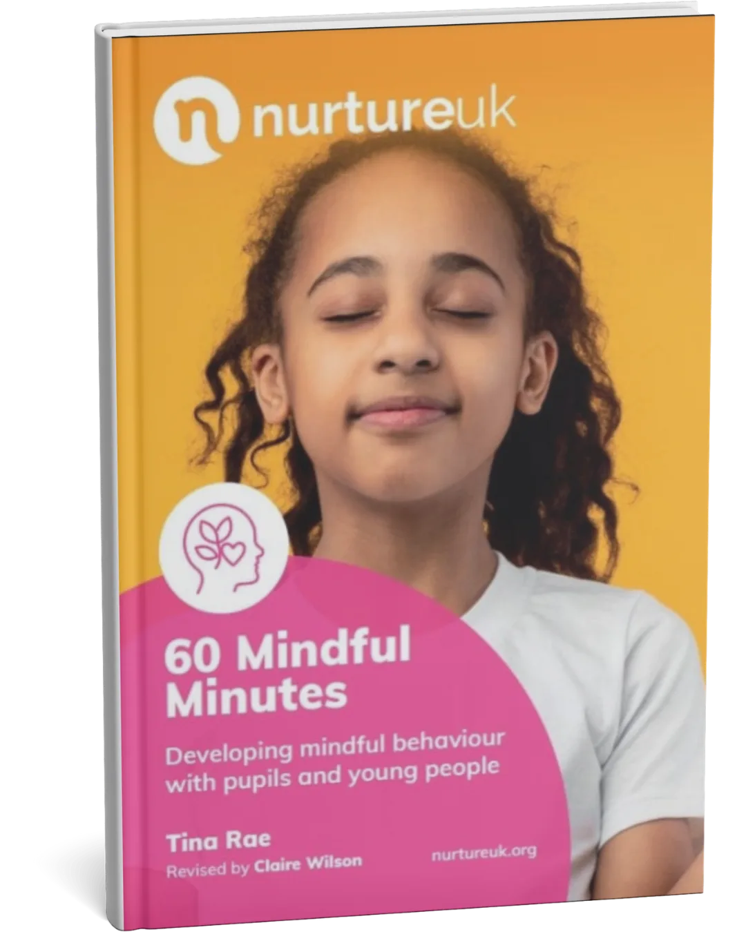 A mock up of 60 Mindful Minutes as a physical book.
