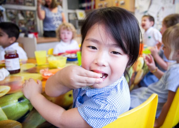 Develop Boxall Primary Pack
