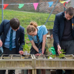 The Boxall Profile®: Developing a Whole School Approach e-learning