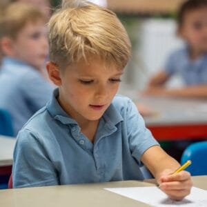 Develop Boxall Primary Pack