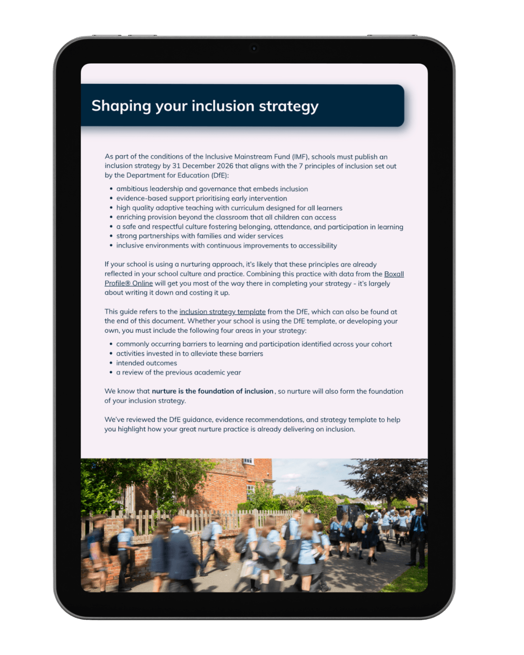 inclusion strategy mock up